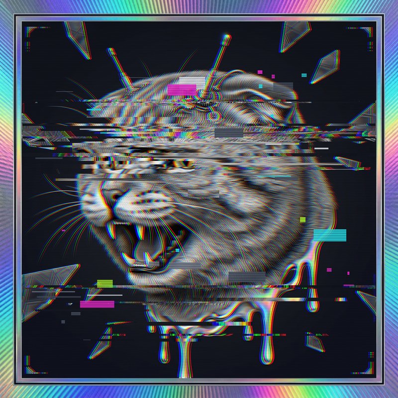 #044 Scottish Fold holo cat