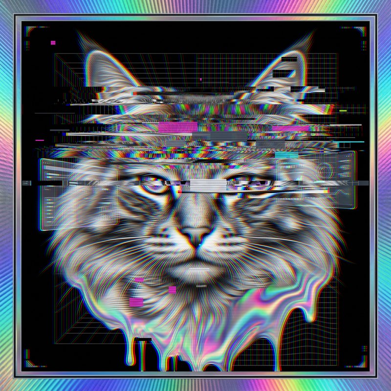 #077 Norwegian Forest holo cat
