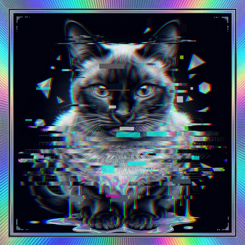 #031 Siamese holo cat