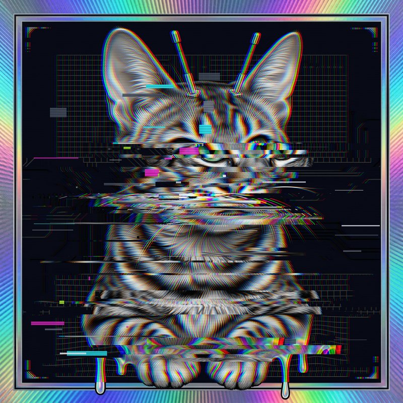 #059 Abyssinian holo cat