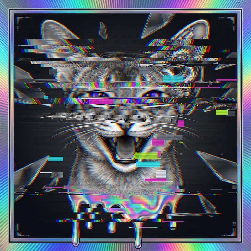 #094 Abyssinian holo cat