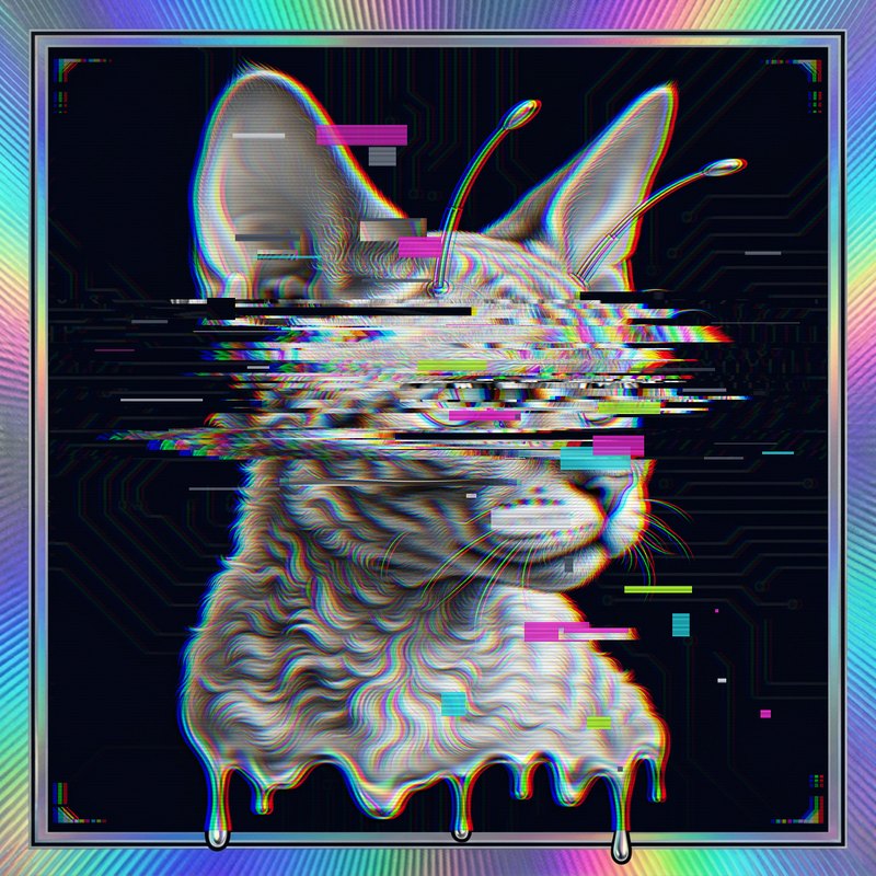 #062 Devon Rex holo cat