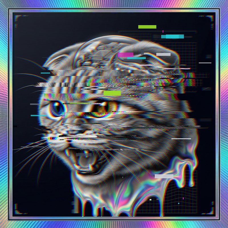 #070 Scottish Fold holo cat