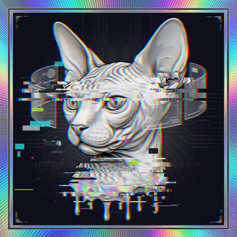#055 Sphynx holo cat