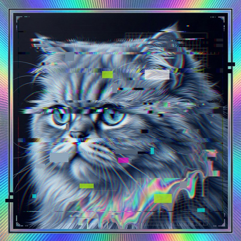 #043 Persian holo cat