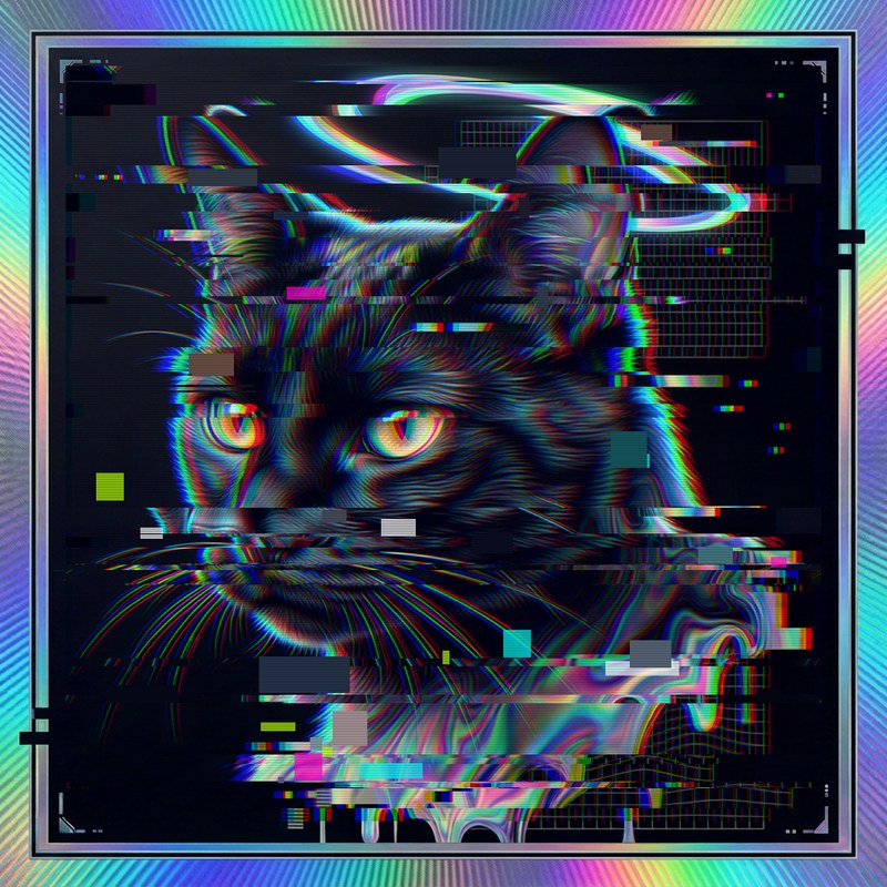 #039 Jet-black shorthair holo cat