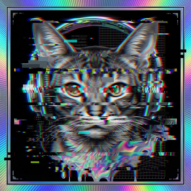 #016 Abyssinian holo cat