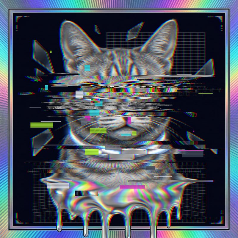 #103 Orange ginger shorthair holo cat