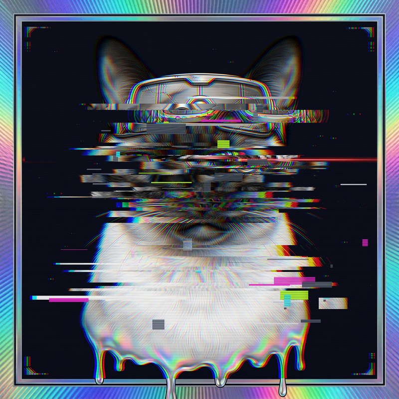 #100 Siamese holo cat