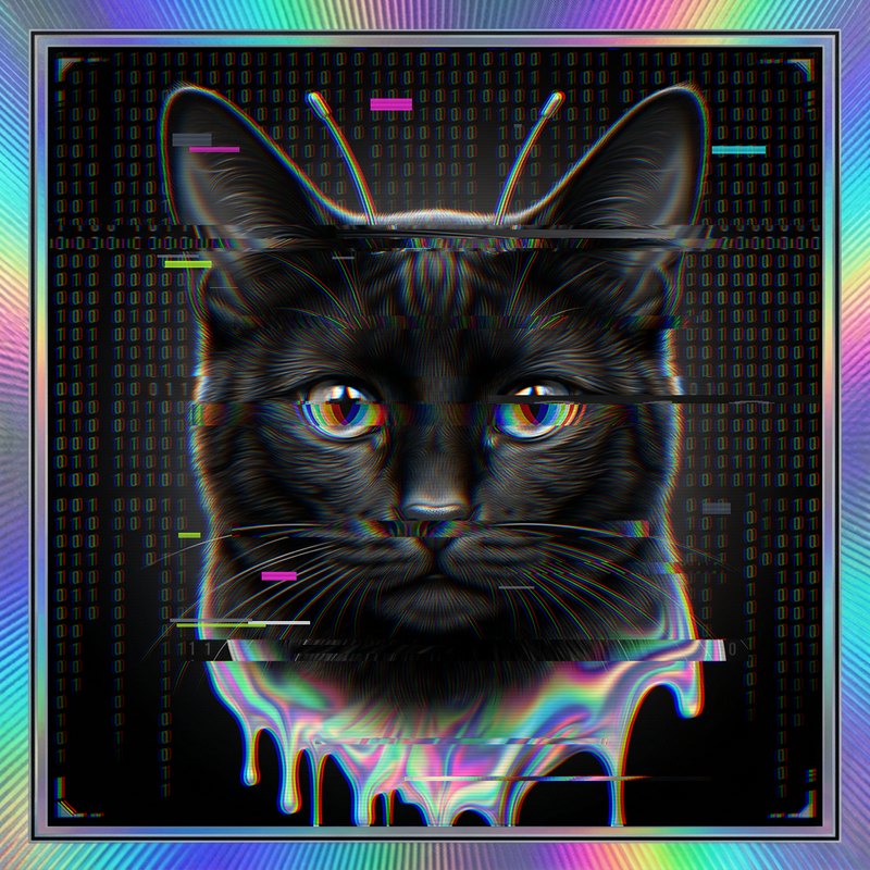 #073 Jet-black shorthair holo cat