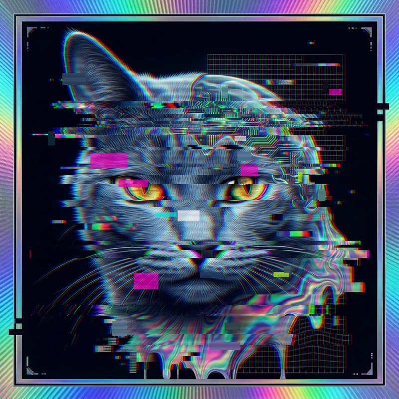 #025 Russian Blue holo cat