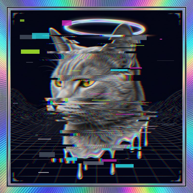 #050 Russian Blue holo cat