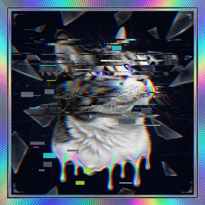 #049 Calico holo cat