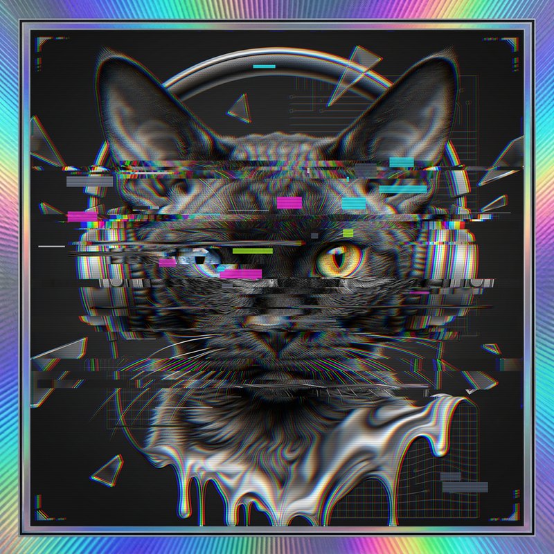 #069 Devon Rex holo cat