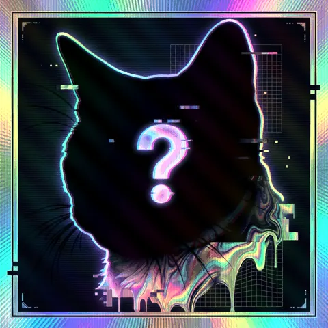 HOLOCATS #001 Mystery Cat