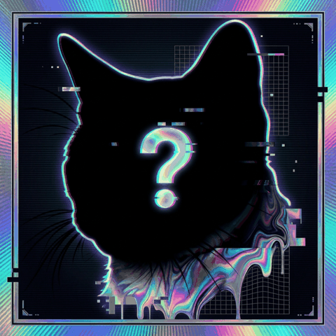 Animated mystery cat silhouette shown before reveal