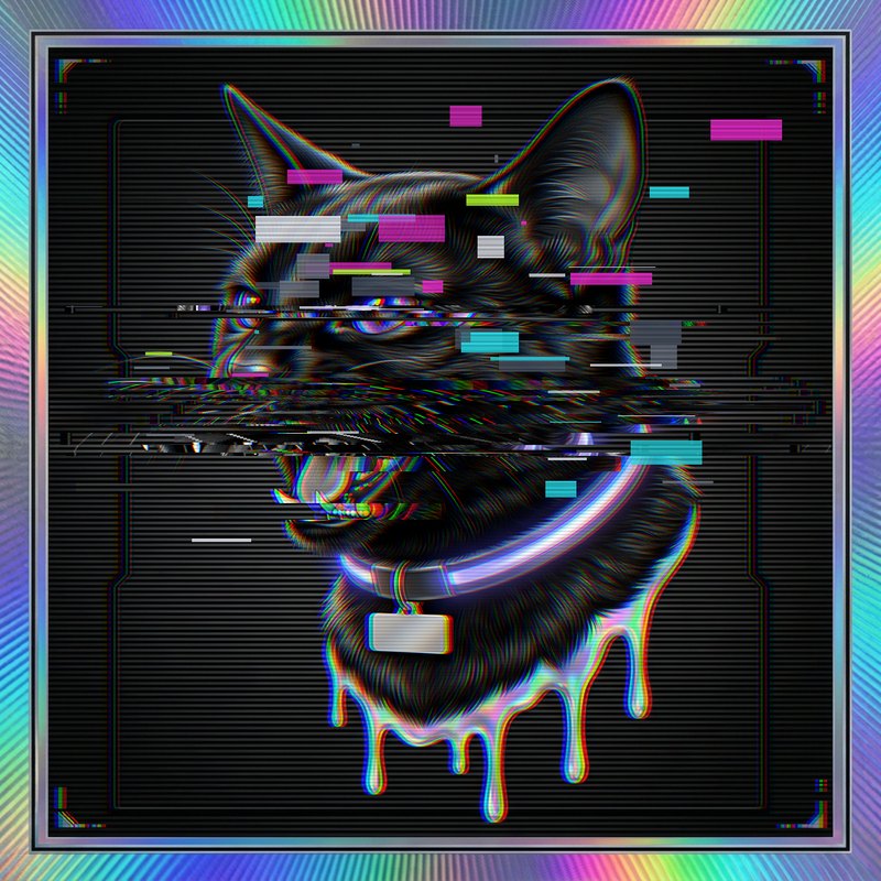 #102 Jet-black shorthair holo cat