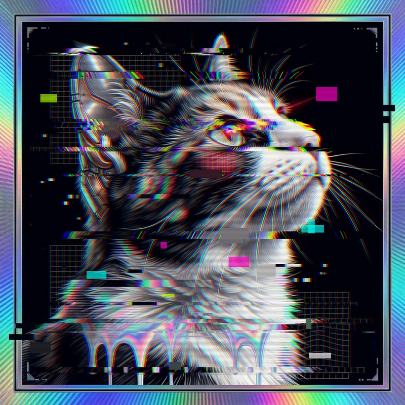 #018 Calico holo cat